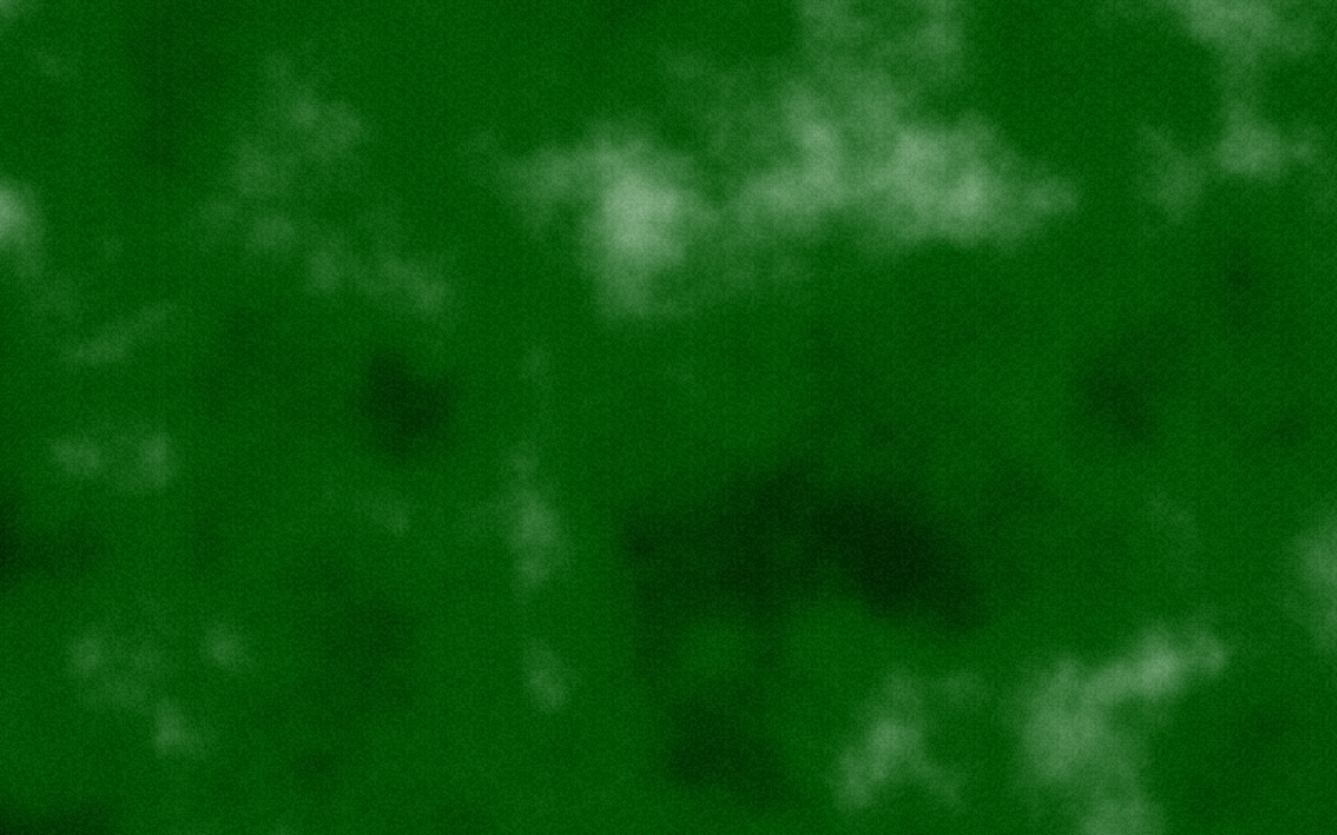 Darkwood Frost